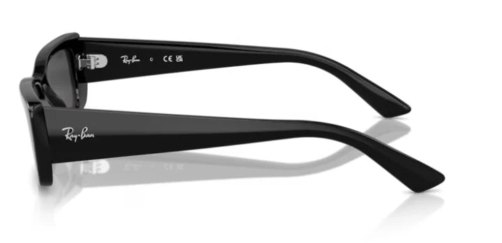 Occhiale da sole rayban rb4425 6677/87