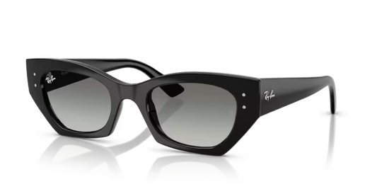 Occhiale da sole rayban rb4430 667711